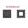 ECE5048-LZY